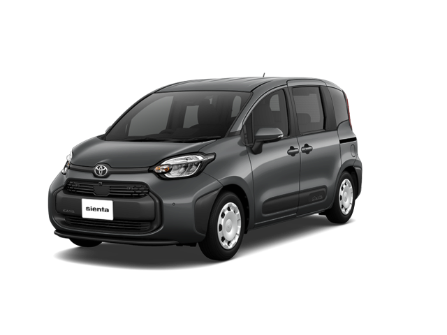 Dark Gray(1L7)